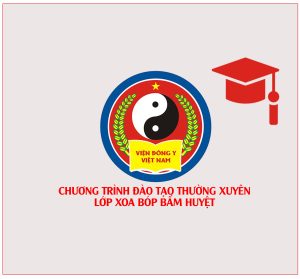[TBTS] CME Chủ đề Đột quỵ & liệt nửa người