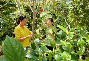 [TBTS] CME Chủ đề Đột quỵ & liệt nửa người