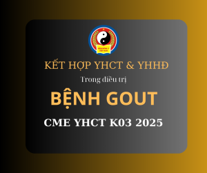 [TBTS] CME Chủ đề Đột quỵ & liệt nửa người